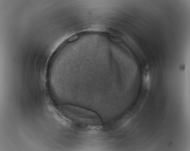 X0000115600484200912011530