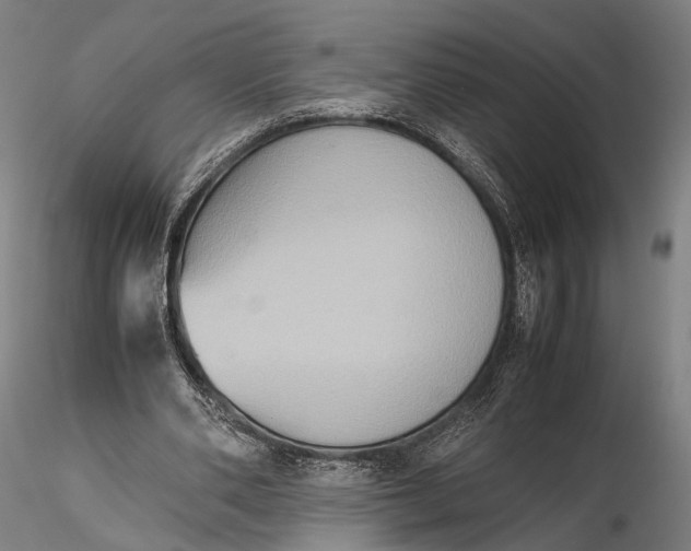 X0000115600486200912011530