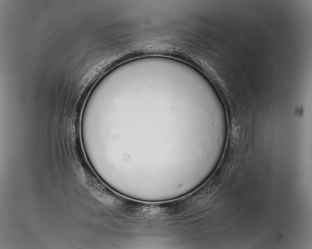 X0000115600487200912011530