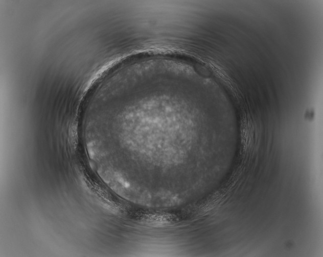 X0000115600488200912011530