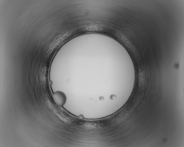 X0000115600490200912011530