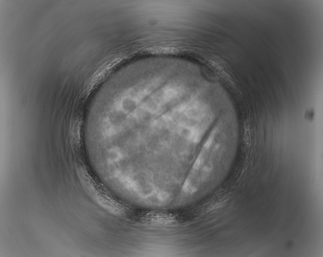 X0000115600491200912011530