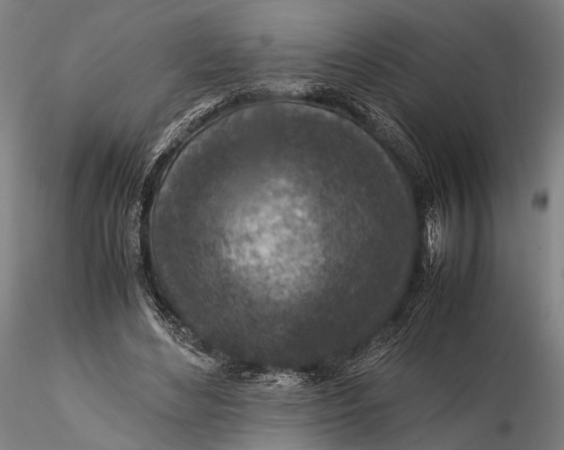 X0000115600492200912011530