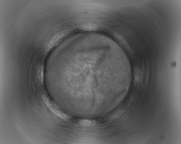 X0000115600494200912011530