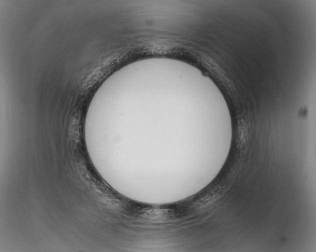 X0000115600497200912011530