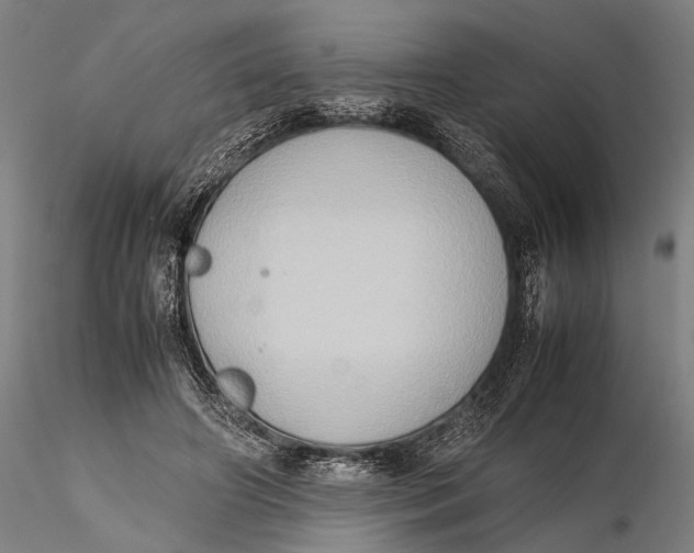 X0000115600498200912011530