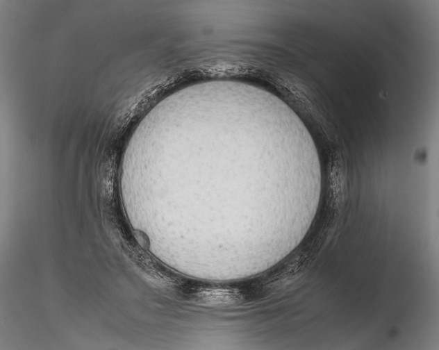 X0000115600499200912011530