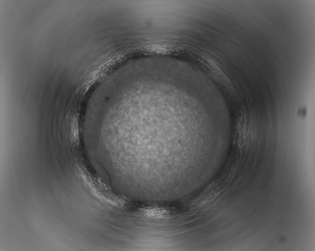 X0000115600500200912011530