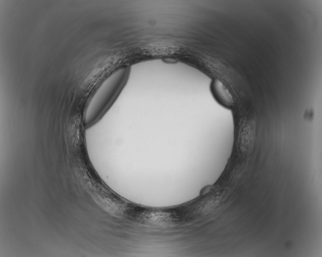 X0000115600501200912011529