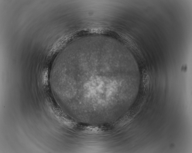 X0000115600502200912011529