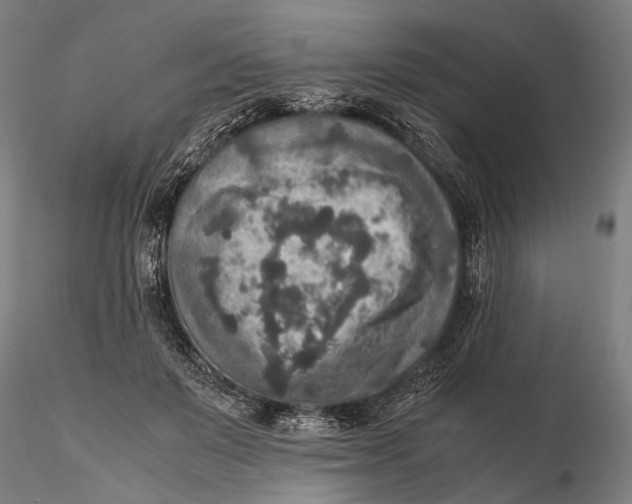 X0000115600503200912011529