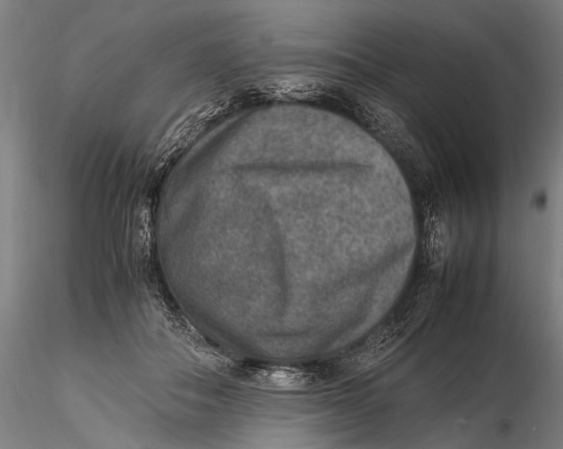 X0000115600506200912011529