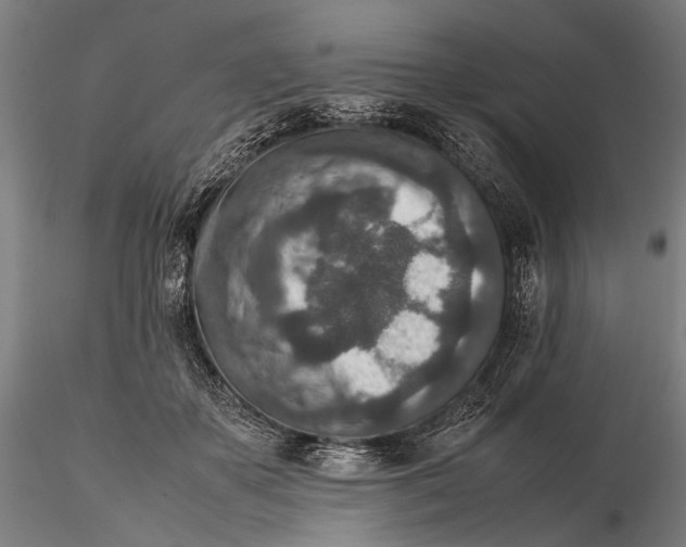 X0000115600507200912011529