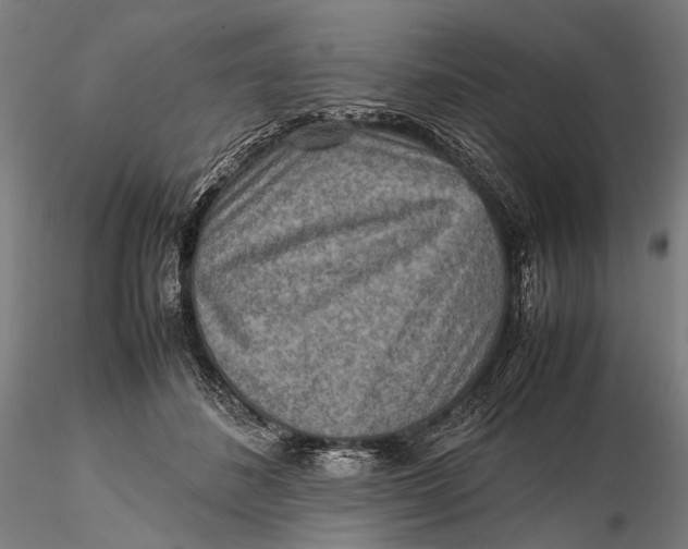 X0000115600508200912011529