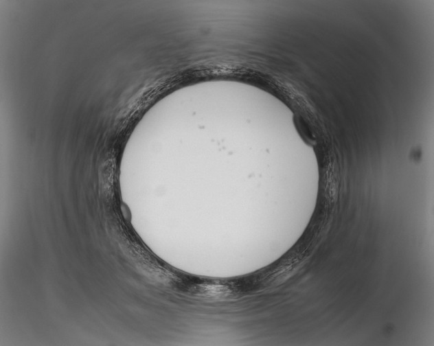 X0000115600509200912011529