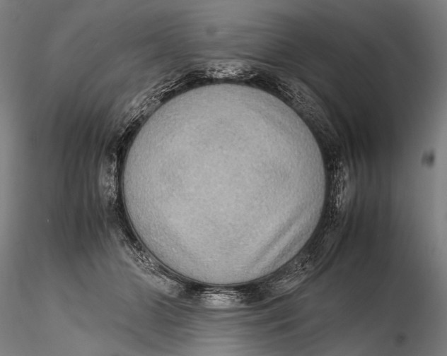 X0000115600510200912011529