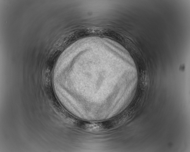 X0000115600511200912011529