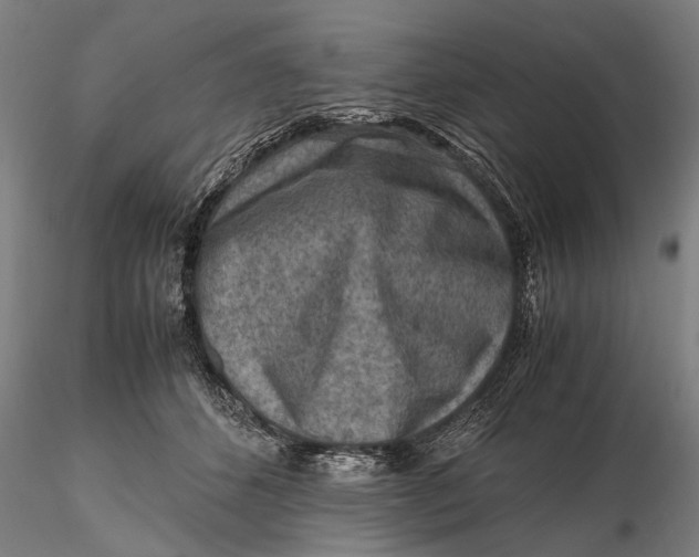 X0000115600512200912011529