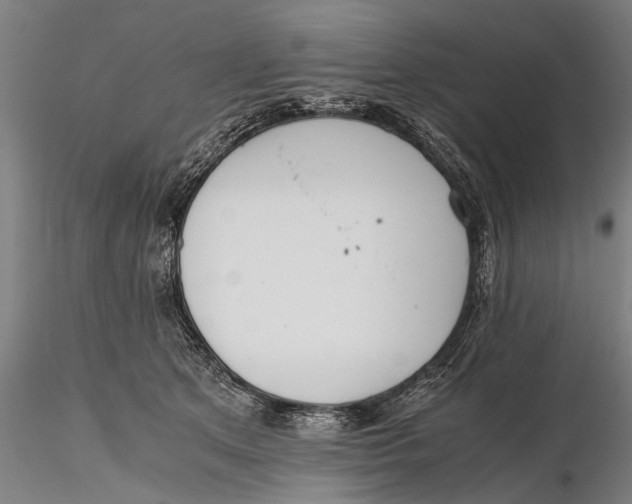 X0000115600513200912011529