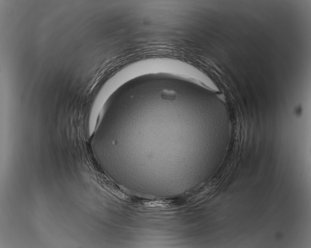 X0000115600516200912011529