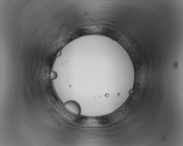 X0000115600518200912011529