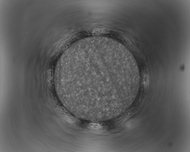 X0000115600519200912011529