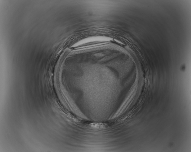 X0000115600520200912011529