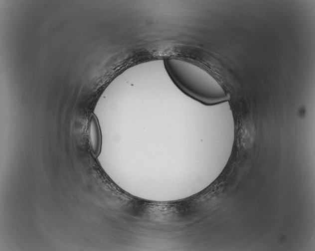 X0000115600521200912011529