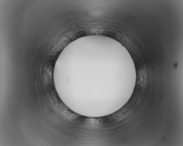 X0000115600522200912011529