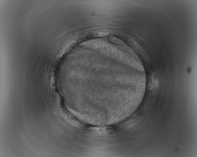 X0000115600524200912011529