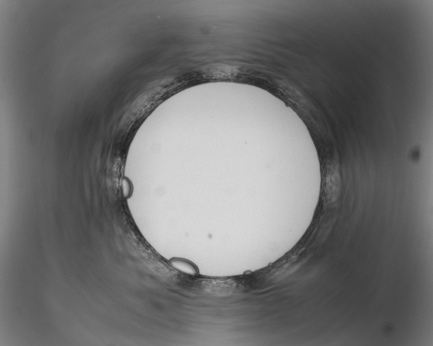 X0000115600525200912011529