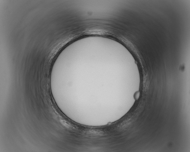 X0000115600529200912011528