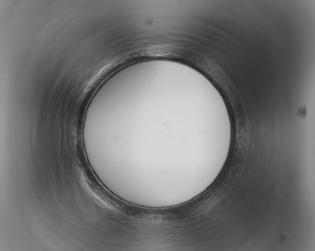 X0000115600530200912011528