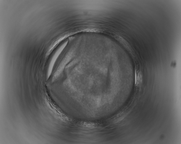 X0000115600531200912011528