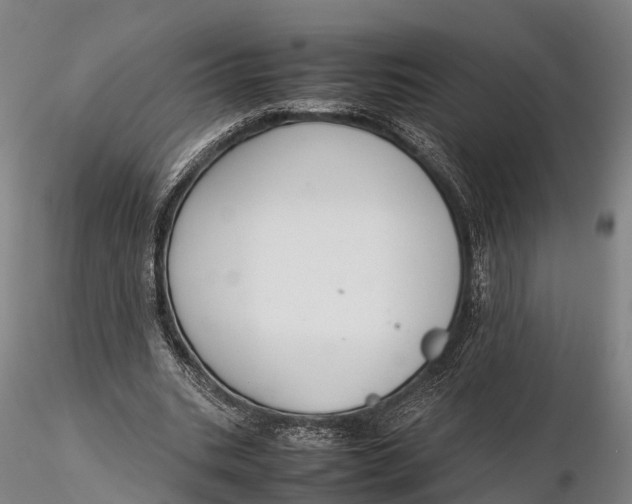 X0000115600535200912011528