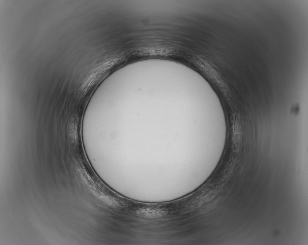 X0000115600537200912011528