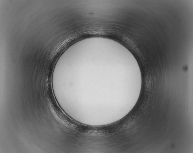 X0000115600538200912011528