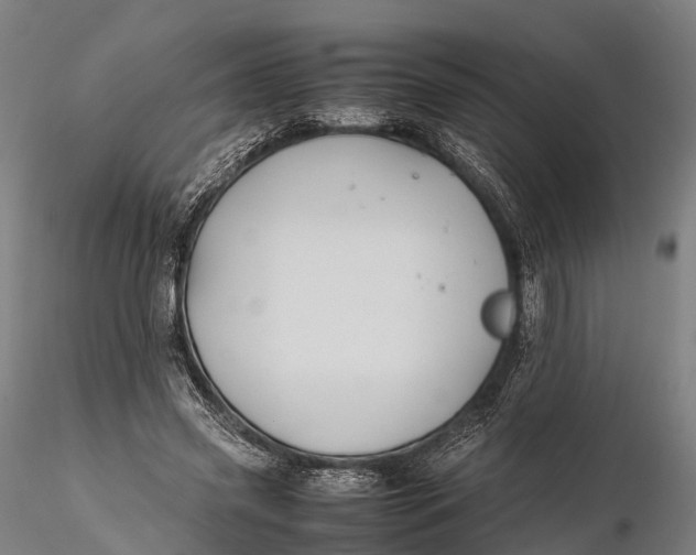 X0000115600541200912011528