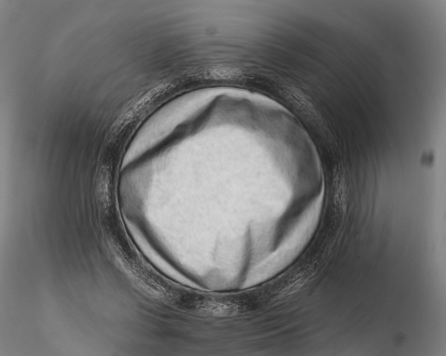 X0000115600542200912011528