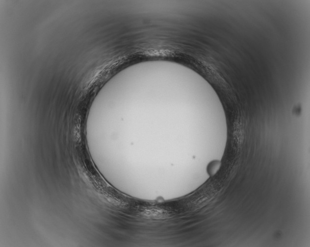 X0000115600547200912011529