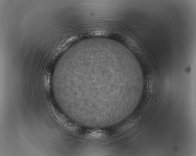 X0000115600550200912011529