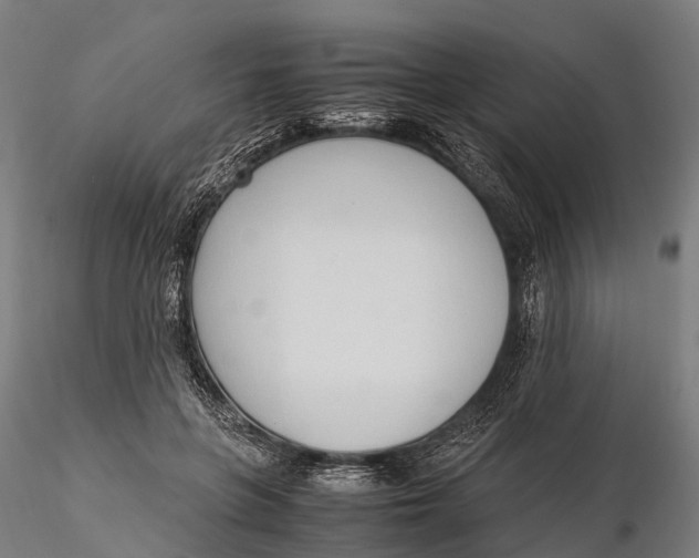 X0000115600551200912011529