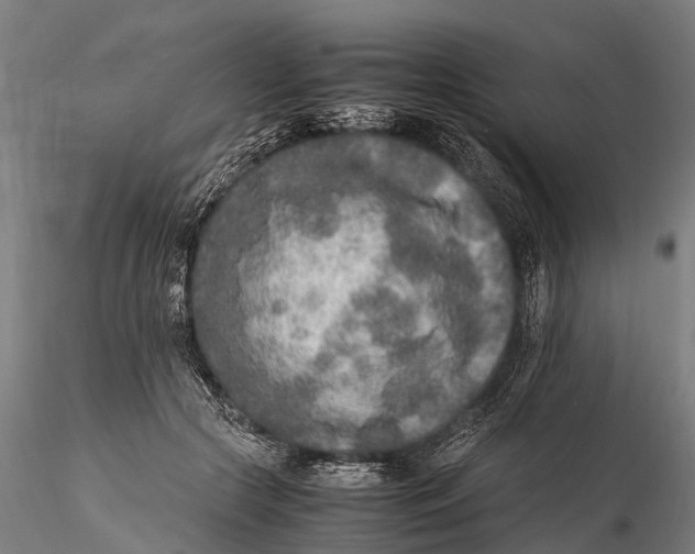 X0000115600553200912011529