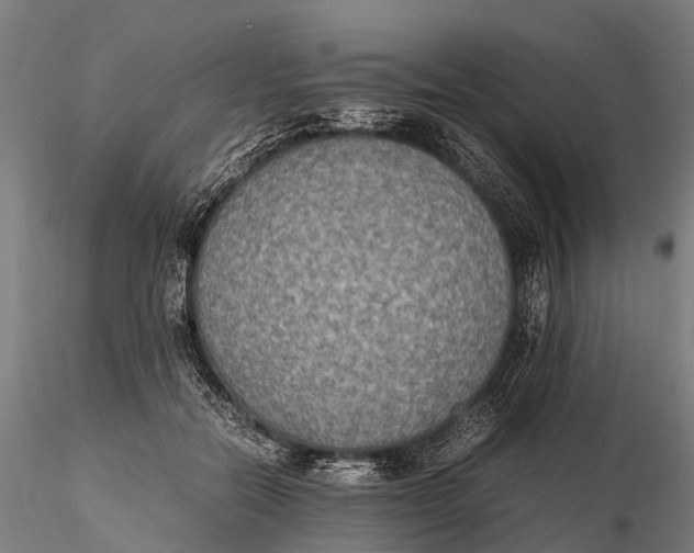 X0000115600554200912011529