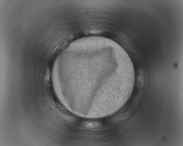 X0000115600555200912011529