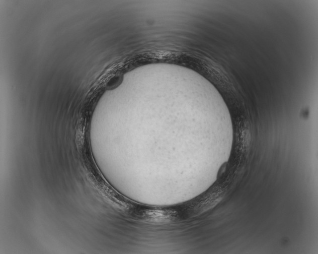 X0000115600558200912011529