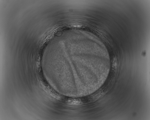 X0000115600559200912011529