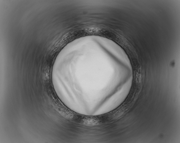 X0000115600561200912011529