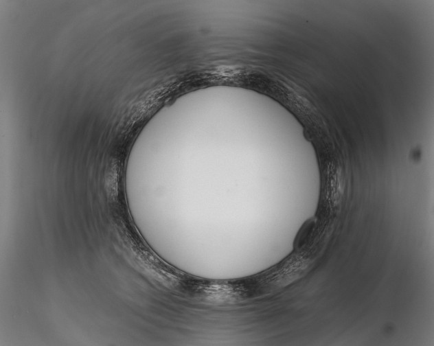 X0000115600562200912011529