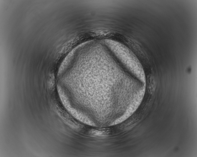 X0000115600563200912011529